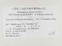 登錄號:F0026431藏品圖，第3張