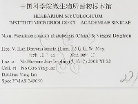 登錄號:F0026432藏品圖，第3張