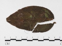 登錄號:F0026433藏品圖，第4張