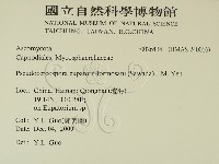 登錄號:F0026434藏品圖，第2張