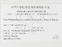 登錄號:F0026434藏品圖，第3張