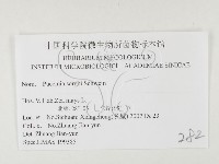 登錄號:F0026435藏品圖，第3張