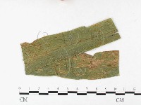 登錄號:F0026435藏品圖，第1張