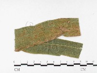 登錄號:F0026435藏品圖，第4張