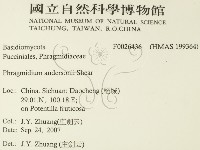 登錄號:F0026436藏品圖，第2張