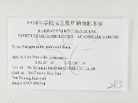 登錄號:F0026436藏品圖，第3張