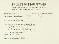 登錄號:F0026437藏品圖，第2張