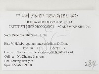 登錄號:F0026437藏品圖，第3張