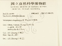 登錄號:F0026438藏品圖，第2張