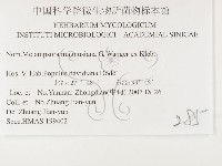 登錄號:F0026438藏品圖，第3張