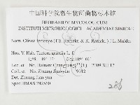 登錄號:F0026439藏品圖，第3張