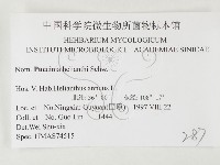 登錄號:F0026440藏品圖，第3張