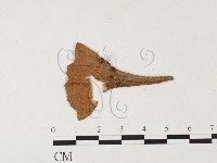 登錄號:F0026440藏品圖，第1張