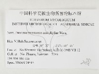 登錄號:F0026441藏品圖，第3張