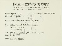 登錄號:F0026442藏品圖，第2張