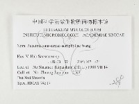 登錄號:F0026442藏品圖，第3張