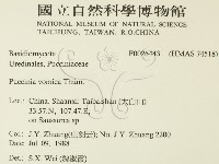 登錄號:F0026443藏品圖，第2張