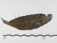 登錄號:F0026443藏品圖，第4張