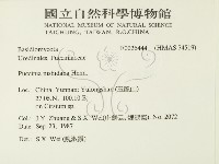 登錄號:F0026444藏品圖，第2張