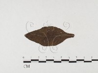 登錄號:F0026444藏品圖，第1張