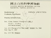 登錄號:F0026446藏品圖，第2張