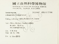 登錄號:F0026447藏品圖，第2張