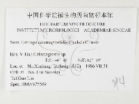 登錄號:F0026447藏品圖，第3張