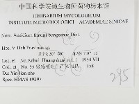 登錄號:F0026448藏品圖，第3張