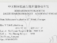 登錄號:F0026450藏品圖，第3張