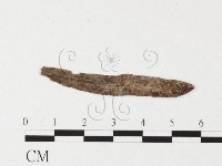 登錄號:F0026450藏品圖，第4張