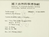 登錄號:F0026451藏品圖，第2張