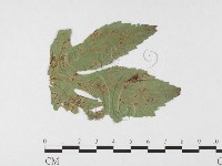 登錄號:F0026452藏品圖，第1張