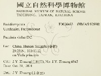 登錄號:F0026453藏品圖，第2張