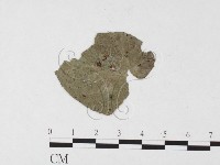 登錄號:F0026453藏品圖，第1張