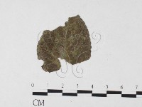 登錄號:F0026453藏品圖，第4張