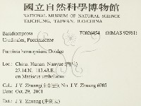 登錄號:F0026454藏品圖，第2張