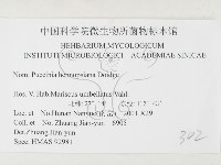 登錄號:F0026454藏品圖，第3張