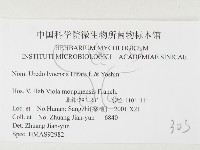 登錄號:F0026455藏品圖，第3張