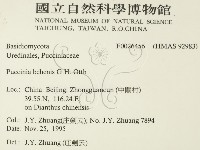 登錄號:F0026456藏品圖，第2張