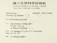 登錄號:F0026457藏品圖，第2張