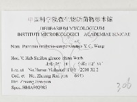 登錄號:F0026458藏品圖，第3張