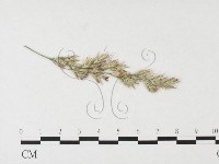 登錄號:F0026459藏品圖，第4張