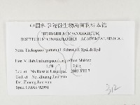 登錄號:F0026461藏品圖，第3張