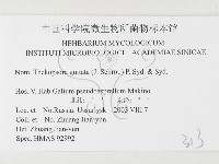 登錄號:F0026462藏品圖，第3張