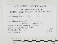 登錄號:F0026463藏品圖，第3張