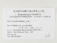 登錄號:F0026464藏品圖，第3張