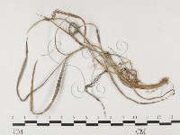 登錄號:F0026464藏品圖，第4張