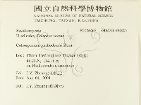 登錄號:F0026465藏品圖，第2張