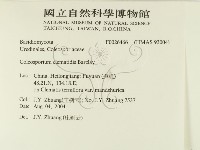 登錄號:F0026466藏品圖，第2張