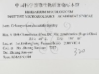 登錄號:F0026466藏品圖，第3張